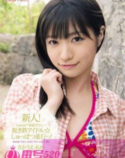 天天插天操免费视频
